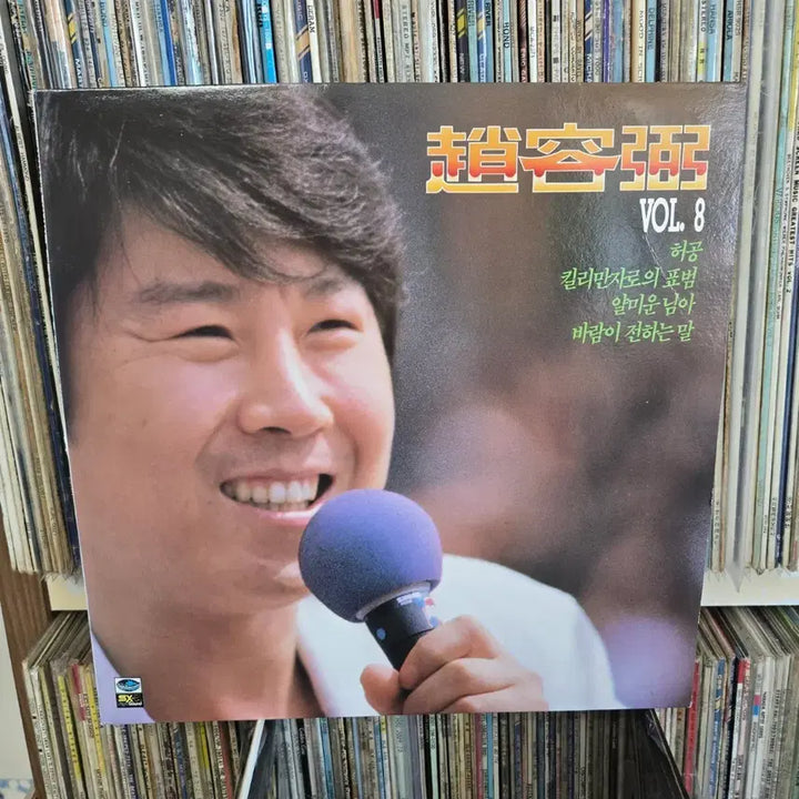 [BUNJANG] Cho Yong Pil LP Record Set / 조용필 LP판 허공,킬리만자로의 표범