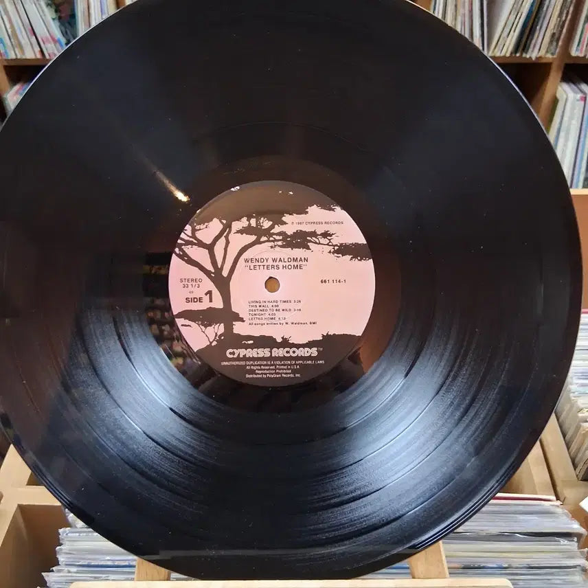 [BUNJANG] Wendy Worldman Letters Home LP / 민트급 웬디 월드먼 Letters Home LP 할인