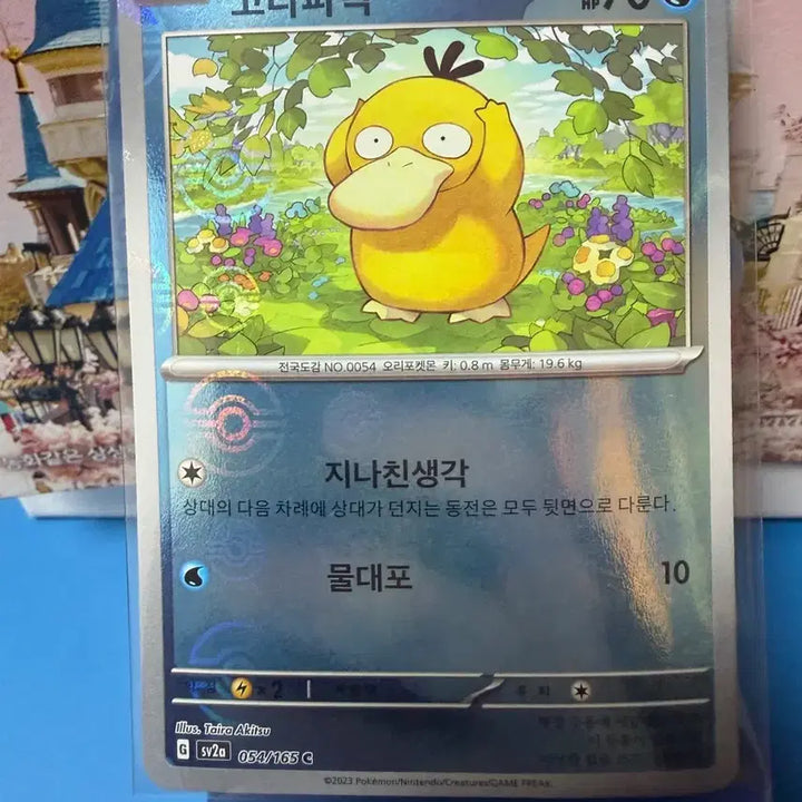 [BUNJANG] Pokemon Psyduck Monster Ball Card / 포켓몬카드 고라파덕 몬스터볼