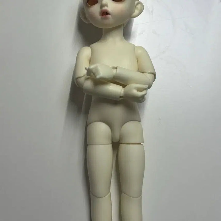 [BUNJANG] Napidoll Carol BJD / 나피돌 캐롤 구관 구체관절인형