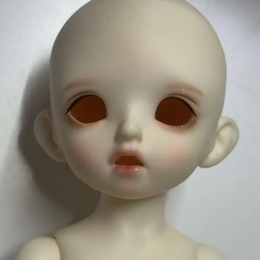 [BUNJANG] Napidoll Carol BJD / 나피돌 캐롤 구관 구체관절인형