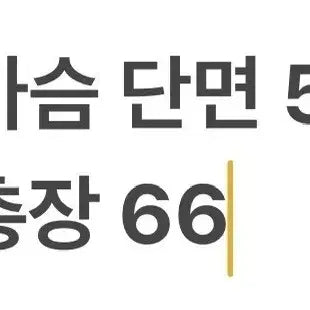 [BUNJANG] [정품] 세인트제임스 엘보우패치 긴팔티셔츠 그레이 / [정품] 세인트제임스 엘보우패치 긴팔티셔츠 그레이