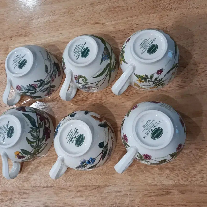 [SOLD OUT] 포트메리온보타닉가든 찻잔 6개 (영국)