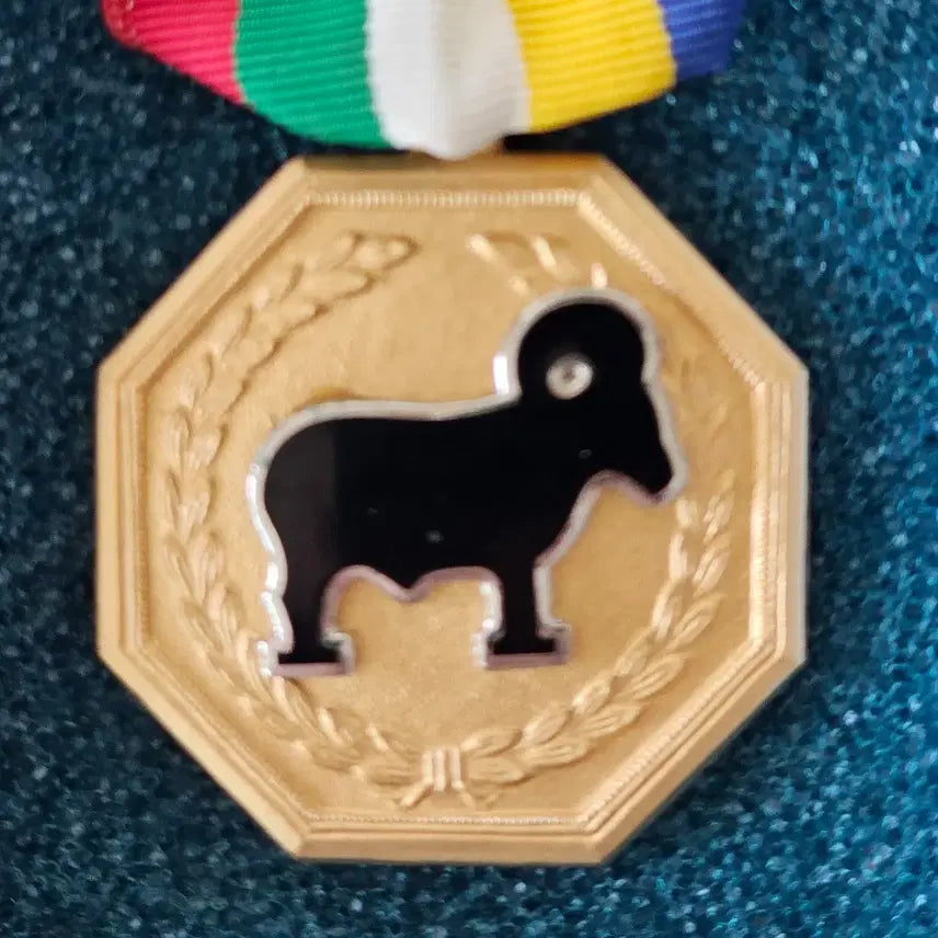 [SOLD OUT] 1988년 권총 사격 AAA급 1위 메달