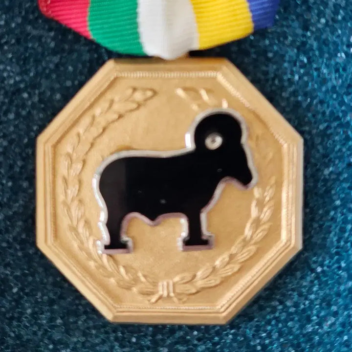 [SOLD OUT] 1988년 권총 사격 AAA급 1위 메달