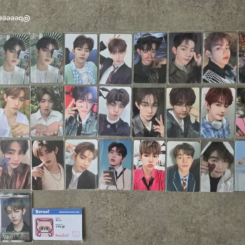 [BUNJANG] ZEROBASEONE Zhang Hao Photocard Bundle Set / 제로베이스원 장하오 포카 및 비공굿즈 일괄양도