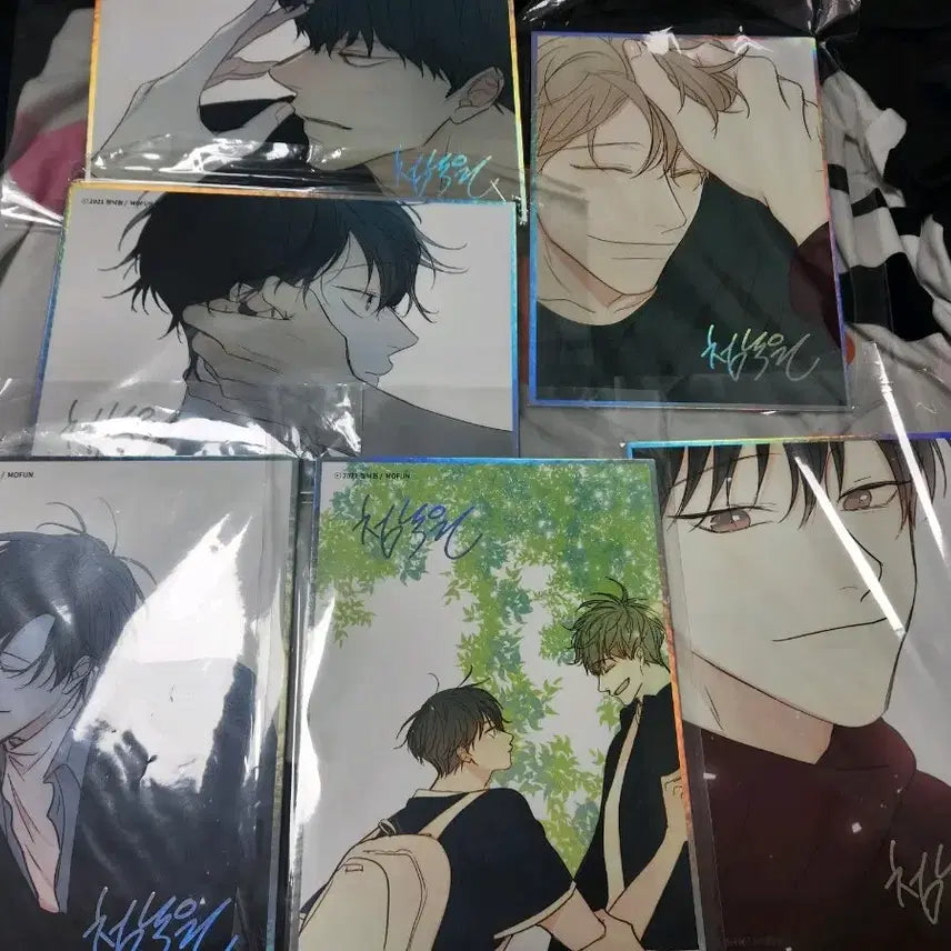 [BUNJANG] Cheongsa-gwa Paradise Illustration Color Paper Bundle Set / 청사과 낙원 일러스트 색지 6종 개봉 일괄