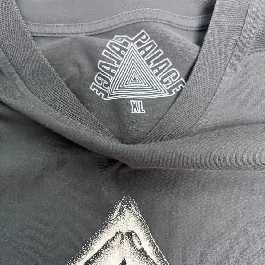 [BUNJANG] Palace XL T-shirt / 팔라스 반팔 티셔츠 xl