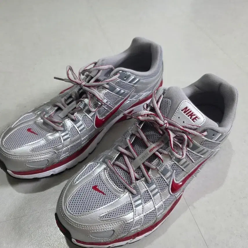 [SOLD OUT] 나이키 P-6000 메탈릭 실버 짐레드 310