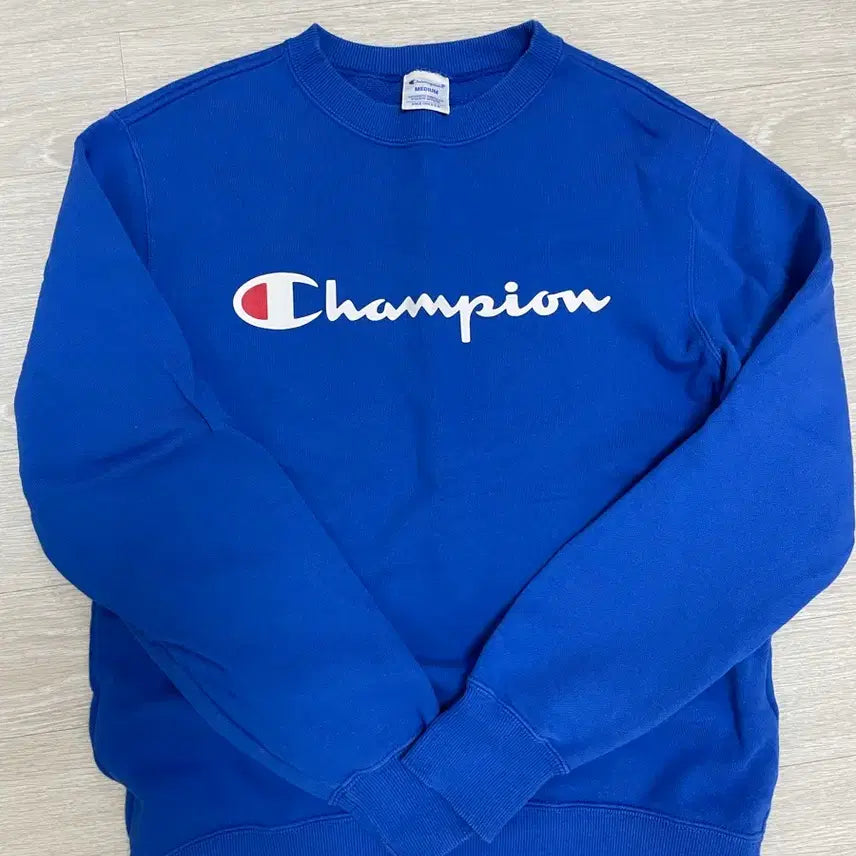 [BUNJANG] Champion Crewneck Sweatshirt / 챔피언 맨투맨