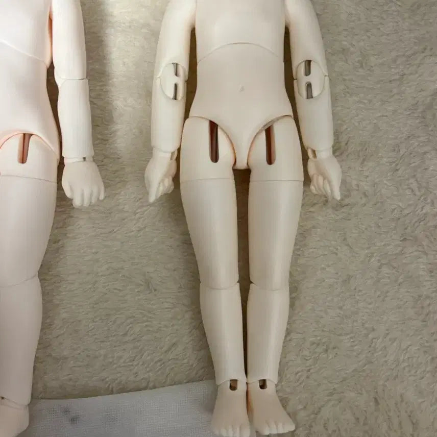 [SOLD OUT] 구체관절인형 USD 수이돌 24년 7월분 미백 바디 판매