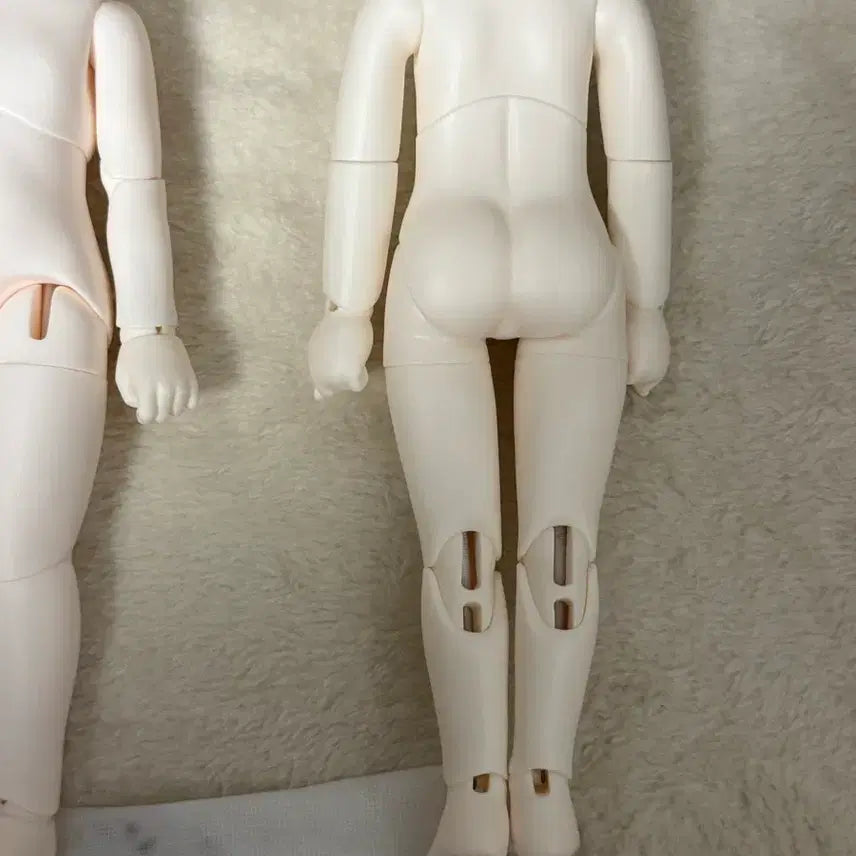 [SOLD OUT] 구체관절인형 USD 수이돌 24년 7월분 미백 바디 판매
