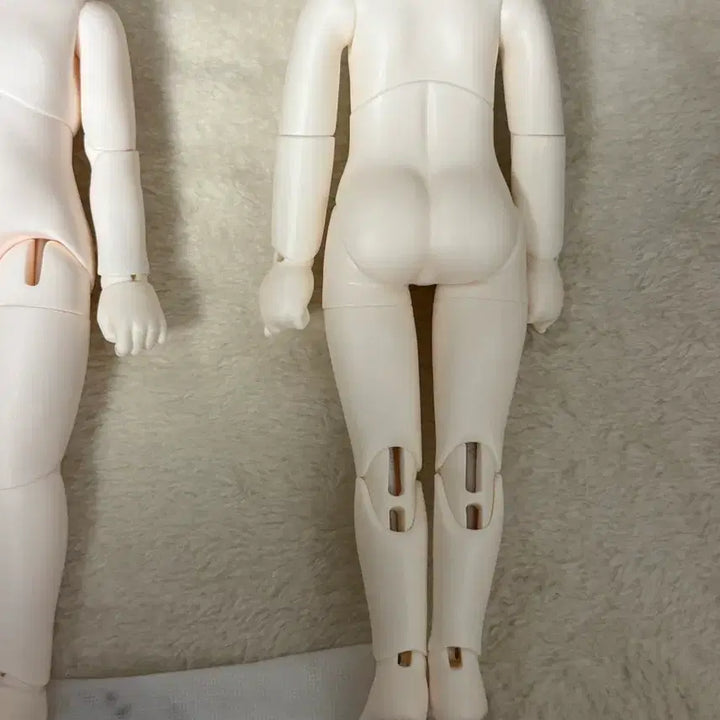 [SOLD OUT] 구체관절인형 USD 수이돌 24년 7월분 미백 바디 판매