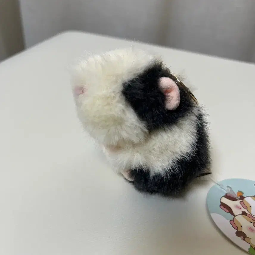 [SOLD OUT] 모루못토상 뽀드득 야채식사 키링 세트