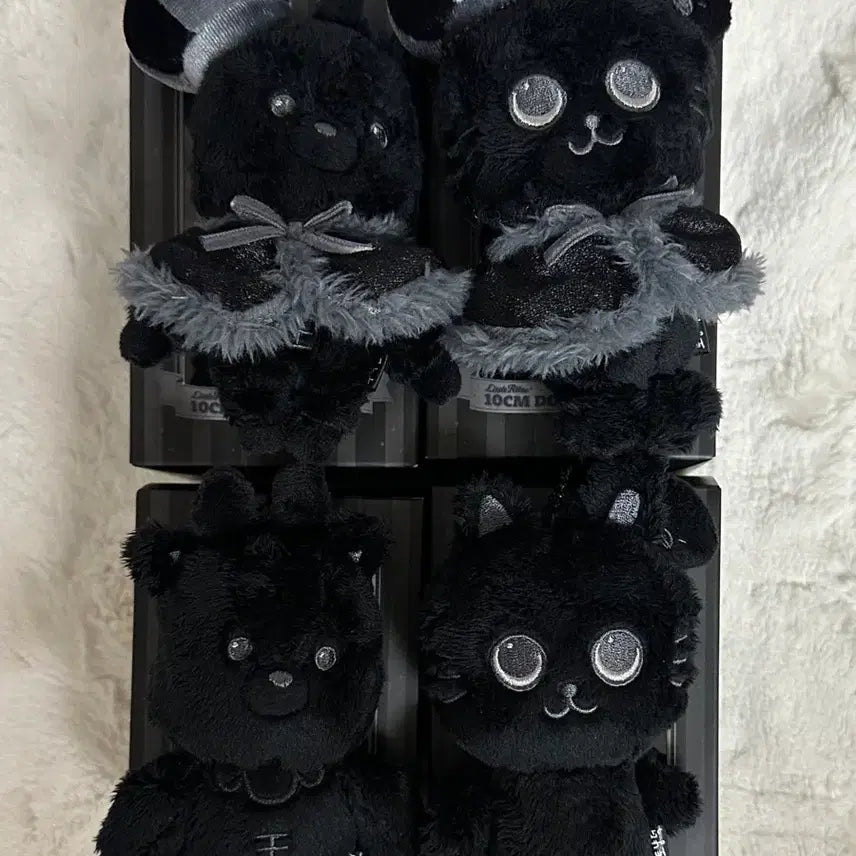 [SOLD OUT] 라이즈 우락밤 토냥덕 일괄 양도 성찬 원빈 인형 페임 블랙 리라즈