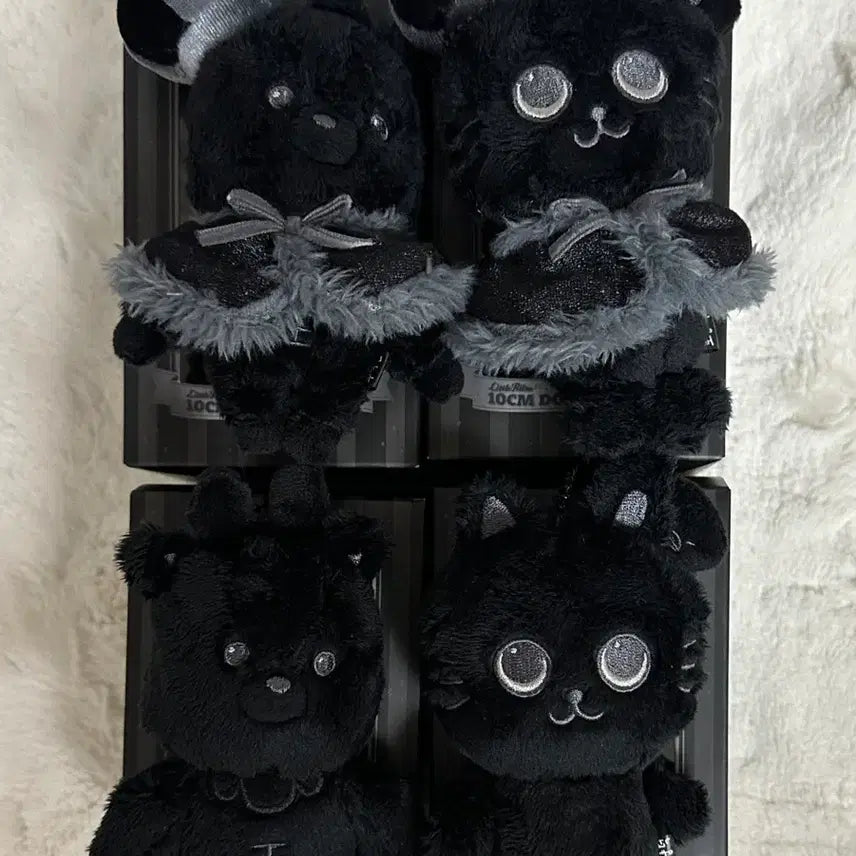 [SOLD OUT] 라이즈 우락밤 토냥덕 일괄 양도 성찬 원빈 인형 페임 블랙 리라즈