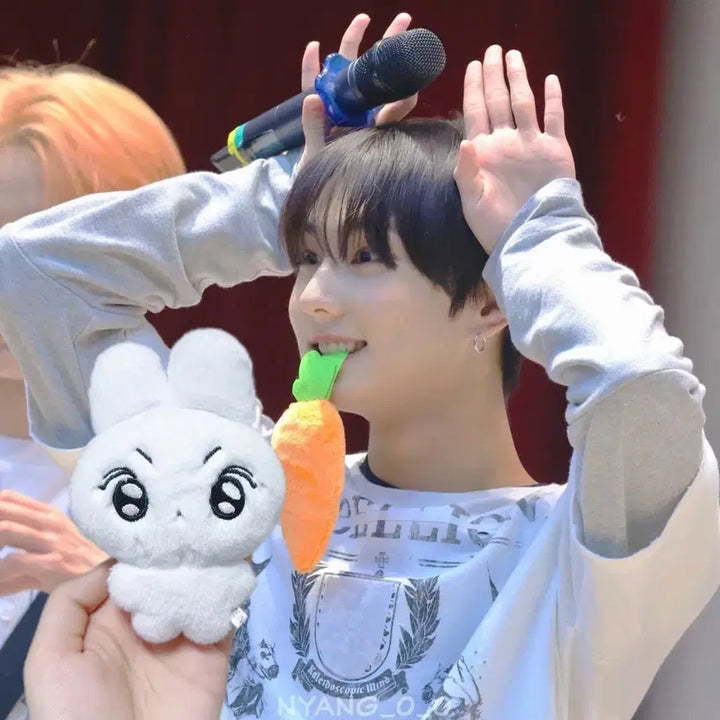 [BUNJANG] ENHYPEN Jungwon Yangddo Doll / 엔하이픈 양정원 정원 인형 양또