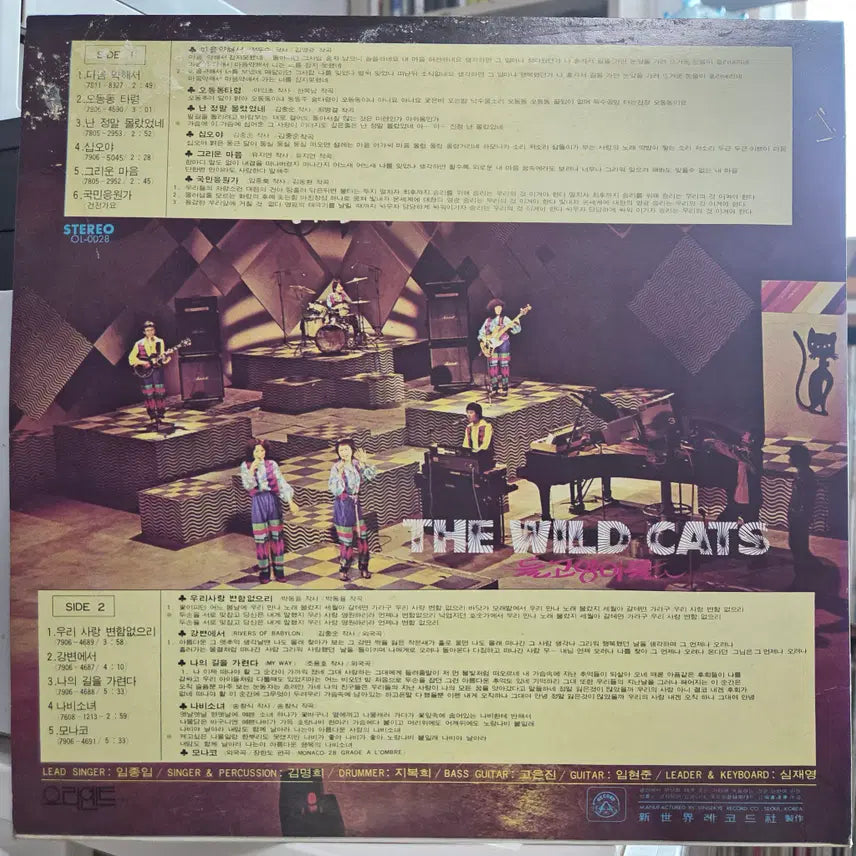 [BUNJANG] Deul Goyaengi (Tenderness, Riverside) Vinyl Record / 들고양이들 (마음약해서, 강변에서)