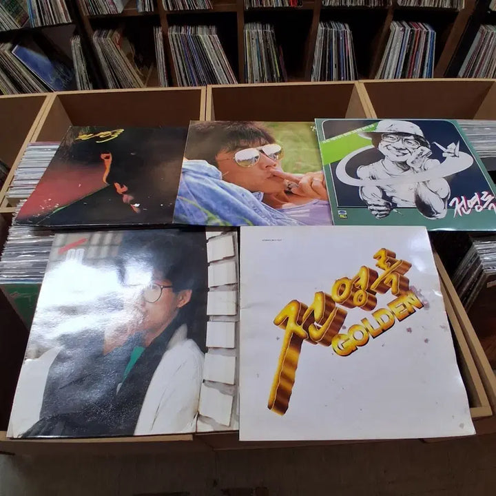 [SOLD OUT] 5장 일괄 가요 초반 전영록 LP 할인 가격