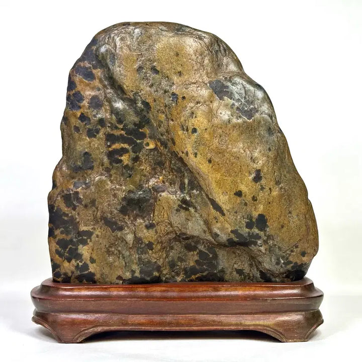 [SOLD OUT] 호피꽃이 잘 핀 순창호피석 수석
