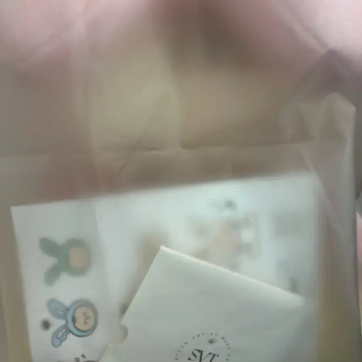 [BUNJANG] SEVENTEEN Jeonghan Artist Made Jjongtoram Doll / 세븐틴 정한 아티스트메이드 쫑토람 팔아요