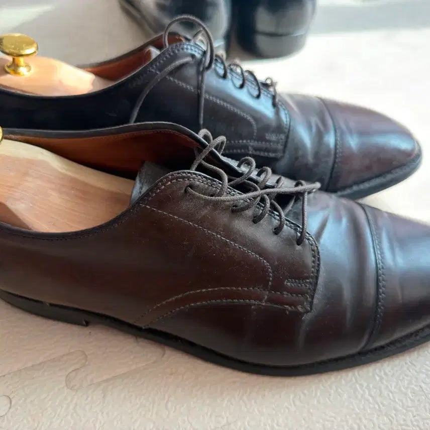 [BUNJANG] Alden 43601 Cigar Shell Cordovan Size 10 / 알든 43601 시가쉘코도반 10사이즈