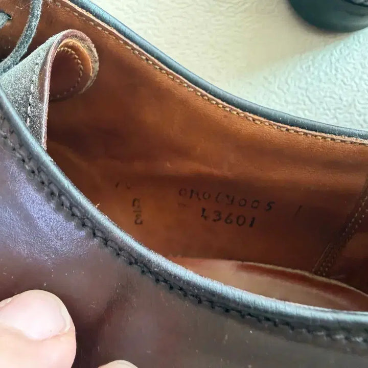 [BUNJANG] Alden 43601 Cigar Shell Cordovan Size 10 / 알든 43601 시가쉘코도반 10사이즈
