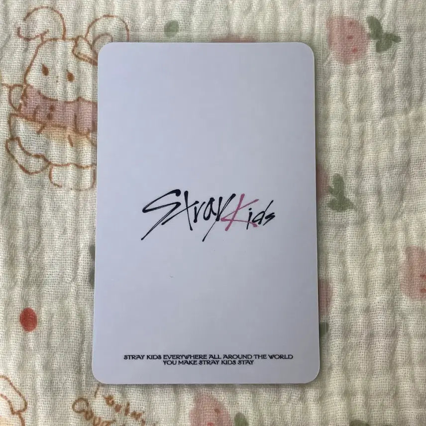 [BUNJANG] Stray Kids Bang Chan MBC Photocard / stray kids 스트레이 키즈 포카 방찬  포카 mbc 공방 포토카드