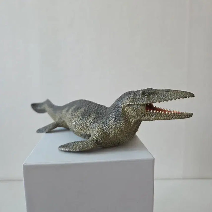 [BUNJANG] Museum Replica Mosasaurus Figure / 박물관 정품 모사사우르스 피규어