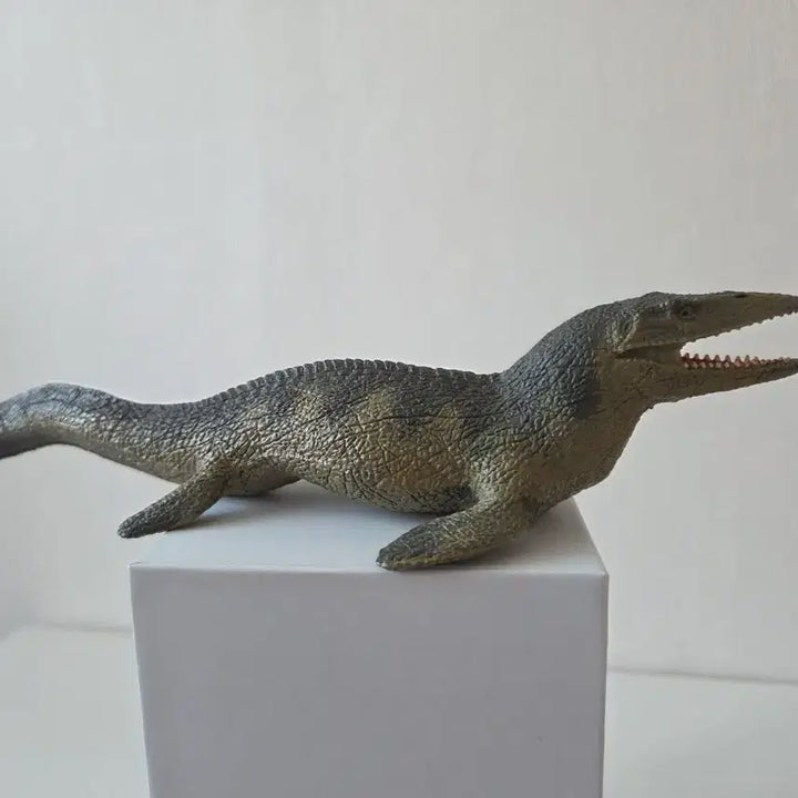 [BUNJANG] Museum Replica Mosasaurus Figure / 박물관 정품 모사사우르스 피규어