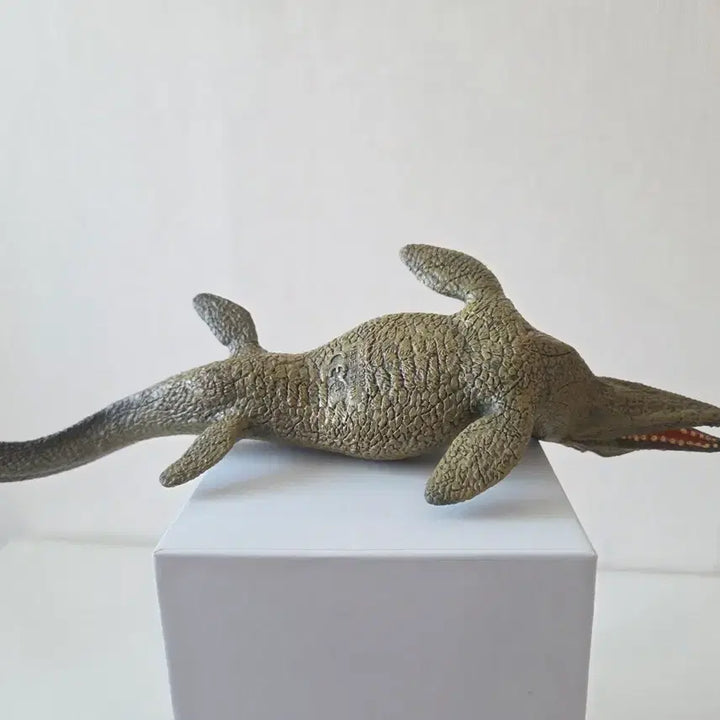[BUNJANG] Museum Replica Mosasaurus Figure / 박물관 정품 모사사우르스 피규어