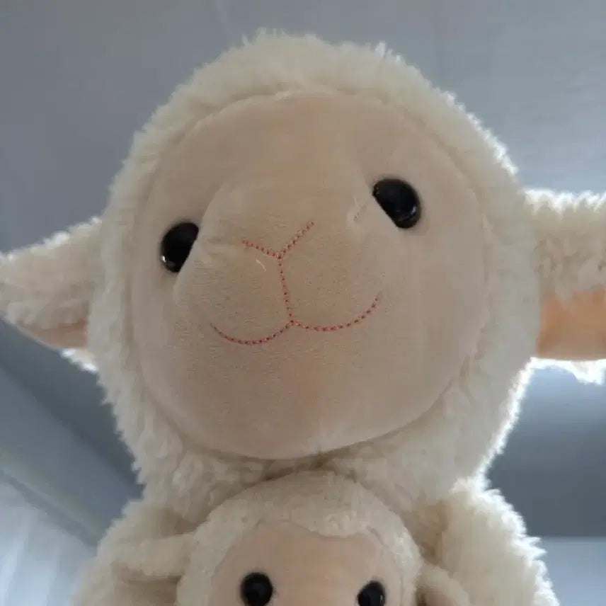 [BUNJANG] Costco 60cm Sheep Plush Toy / 코스트코 60cm 인형