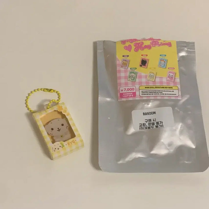 [BUNJANG] Wishdoll Miniature Ryunryun Keyring / 위시돌 미니어처 키링 룐룐 팝니다