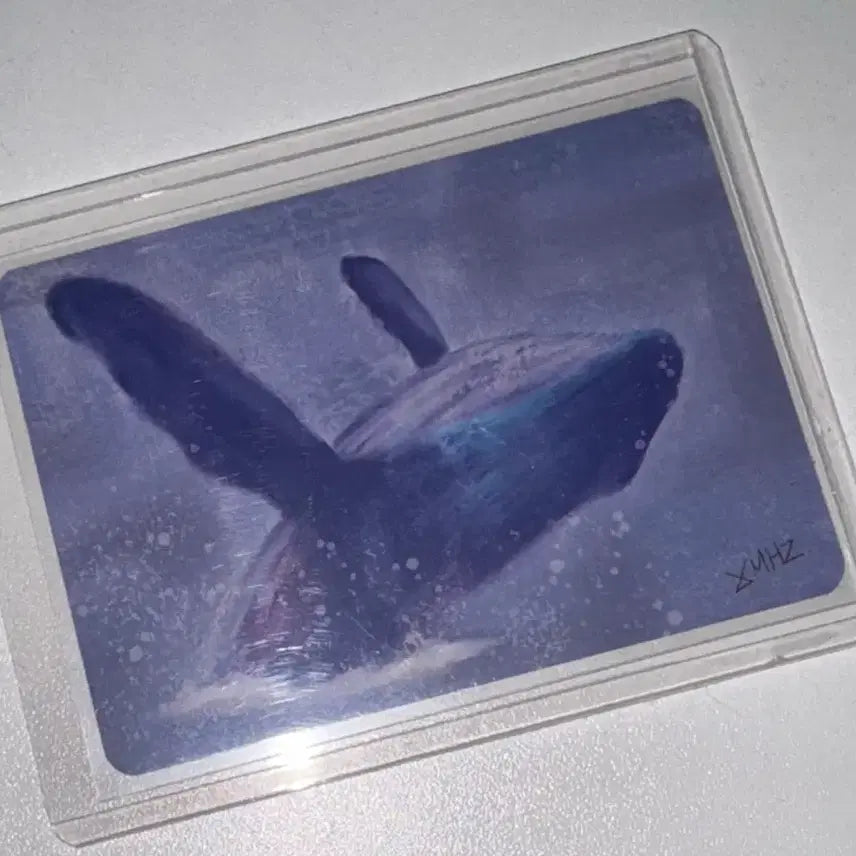 [SOLD OUT] 몬스타엑스 민혁 고래포카