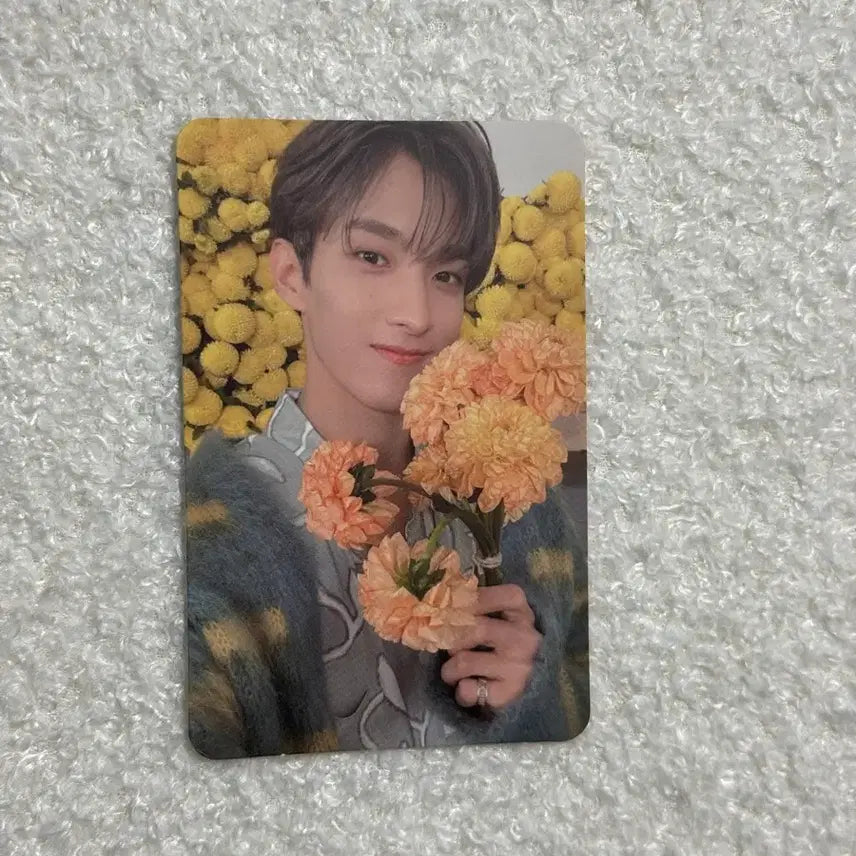 [BUNJANG] Seventeen DK Your Choice Photocard / 세븐틴 도겸 유어초이스 포카 svt DK