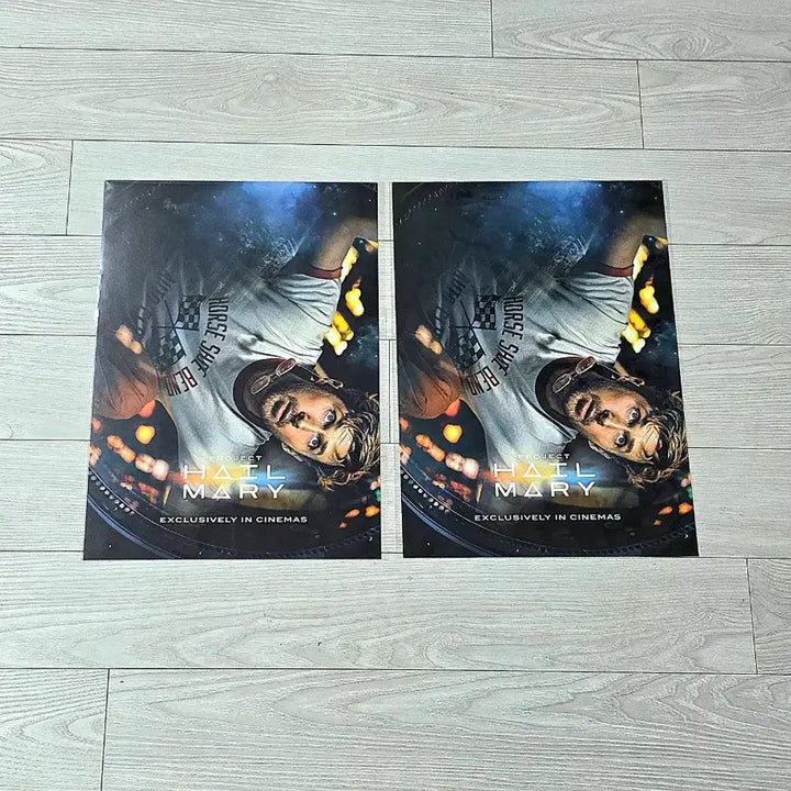 [BUNJANG] Project Hail Mary Original Poster / 프로젝트헤일메리 오리지널 포스터 주말 포스터 프로젝트헤일메리오리지널포스터