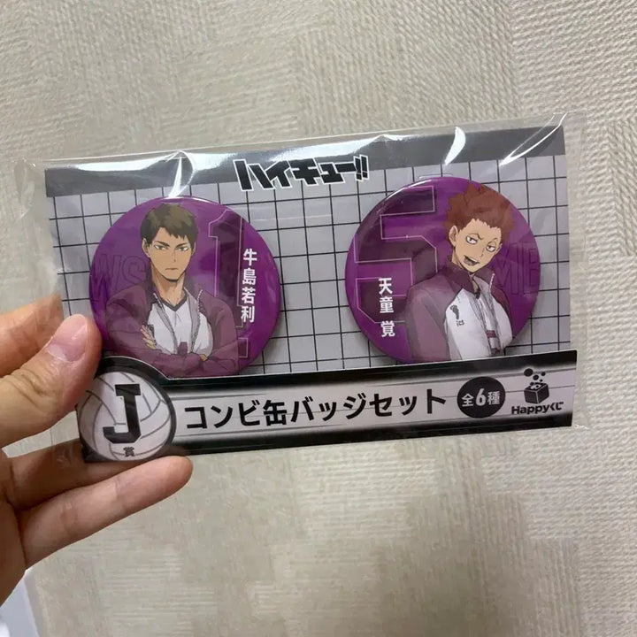 [BUNJANG] Haikyu Shiratorizawa Ushijima &amp; Tendo Can Badge Set / 하이큐 시라토리자와 우시지마 세트 캔뱃지