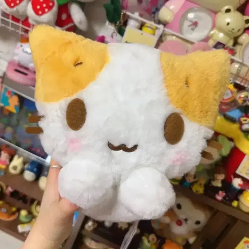 [BUNJANG] Roughruff San-X Marshmallow Plush M Size Nakajima Market / M사이즈!!) 러프러프 산엑스 마슈마로 인형 나카지마 마켓 산리오