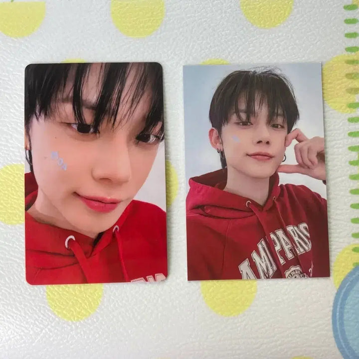 [BUNJANG] TXT 투모로우바이투게더 연준 2024 팬라이브 5주년 현장  포카 / TXT 투모로우바이투게더 연준 2024 팬라이브 5주년 현장  포카