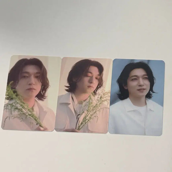 [BUNJANG] Day6 Sungjin Photocard Bundle Set / 데이식스 팬미팅 트레카 / 성진 3장 일괄