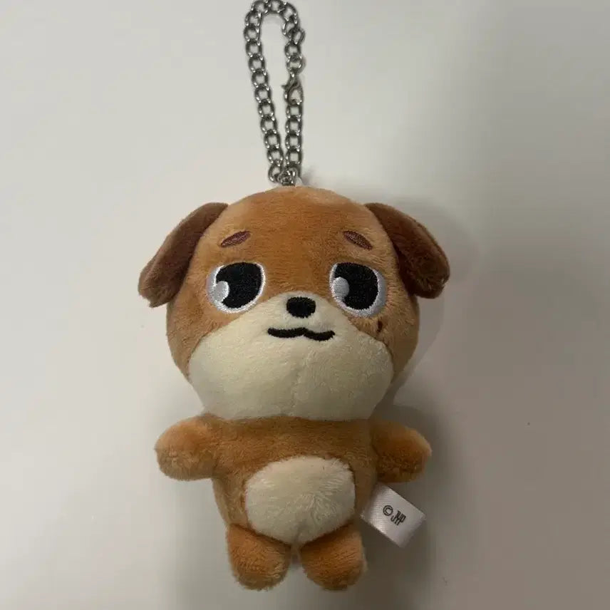 [SOLD OUT] 데이식스 도운 일본 백참 데니멀즈 돈 원가이하 양도