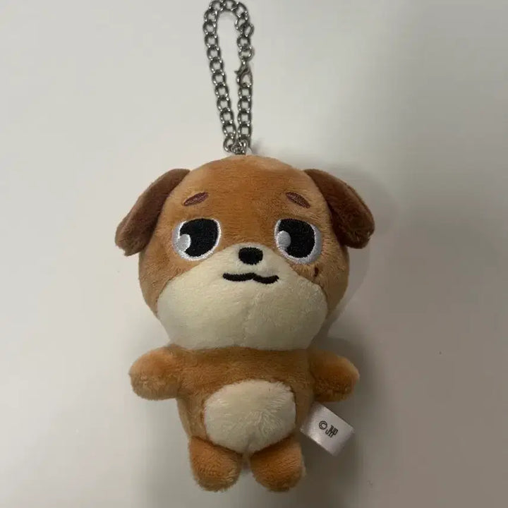 [SOLD OUT] 데이식스 도운 일본 백참 데니멀즈 돈 원가이하 양도