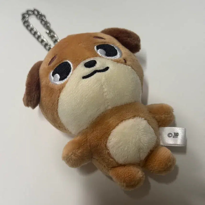 [SOLD OUT] 데이식스 도운 일본 백참 데니멀즈 돈 원가이하 양도