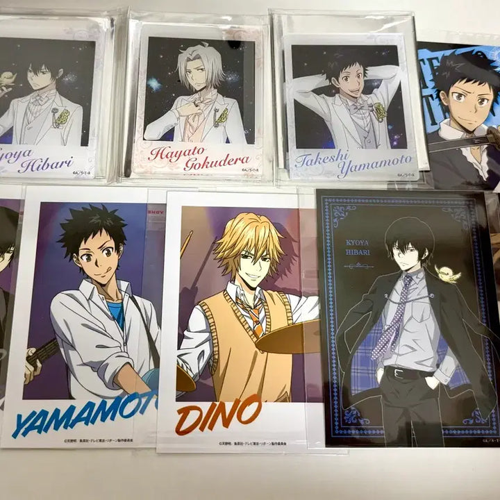 [BUNJANG] Katekyo Hitman Reborn Hayato Gokudera Item Bundle / (일괄)가히리 가정교사히트맨리본 고쿠데라 하야토