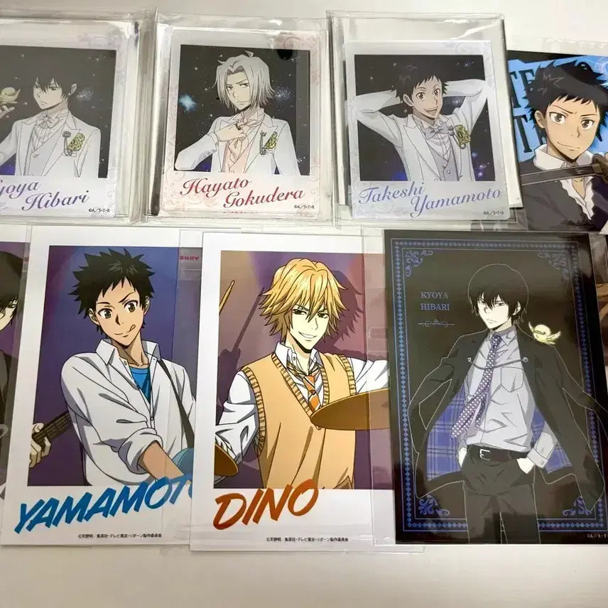[BUNJANG] Katekyo Hitman Reborn Hayato Gokudera Item Bundle / (일괄)가히리 가정교사히트맨리본 고쿠데라 하야토