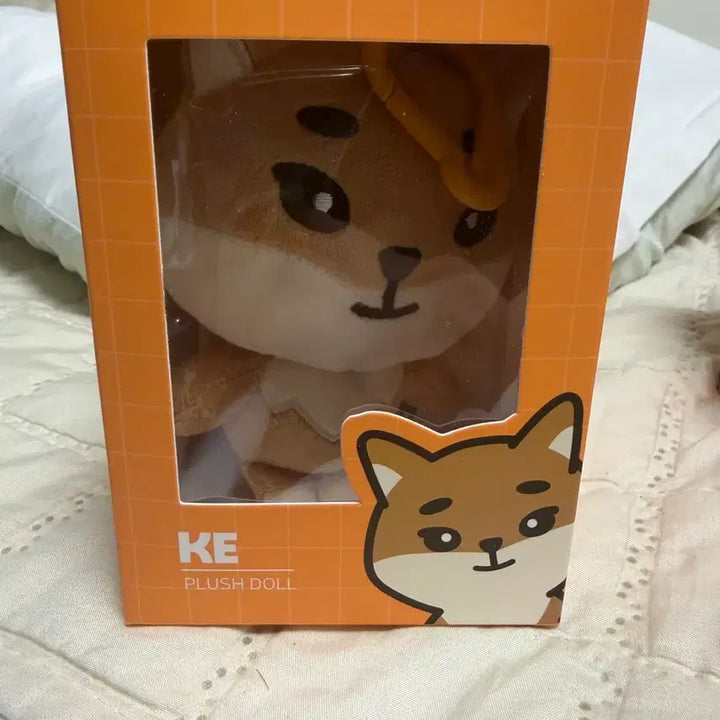 [SOLD OUT] 데이식스 데니멀즈 케2020