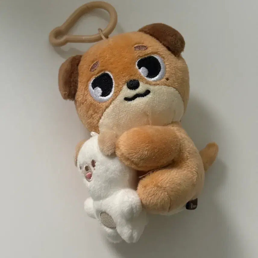 [BUNJANG] Day6 Don Dowoon Yoon Dowoon NaAnA Magnet Plush Doll / 데이식스 데니멀즈 돈 도운 윤도운 나안아 마그넷 인형 양도