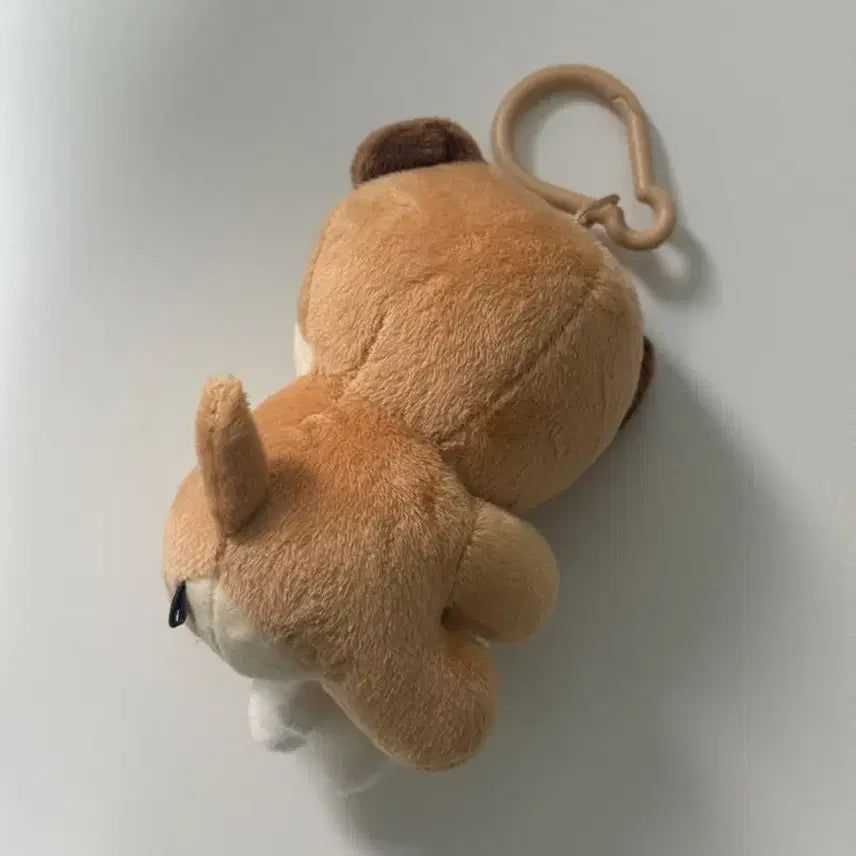 [BUNJANG] Day6 Don Dowoon Yoon Dowoon NaAnA Magnet Plush Doll / 데이식스 데니멀즈 돈 도운 윤도운 나안아 마그넷 인형 양도