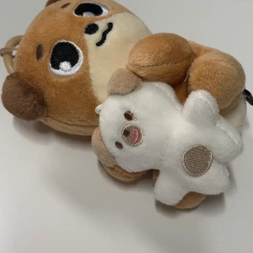 [BUNJANG] Day6 Don Dowoon Yoon Dowoon NaAnA Magnet Plush Doll / 데이식스 데니멀즈 돈 도운 윤도운 나안아 마그넷 인형 양도
