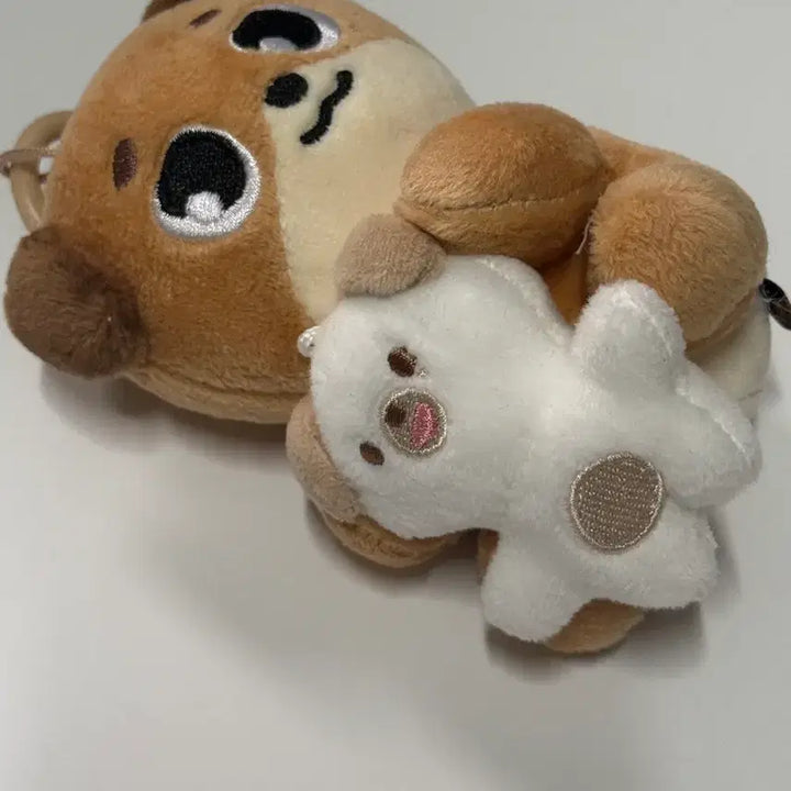 [BUNJANG] Day6 Don Dowoon Yoon Dowoon NaAnA Magnet Plush Doll / 데이식스 데니멀즈 돈 도운 윤도운 나안아 마그넷 인형 양도